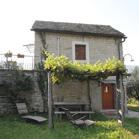 Fattoria L'Amorosa Sementina Ruang foto