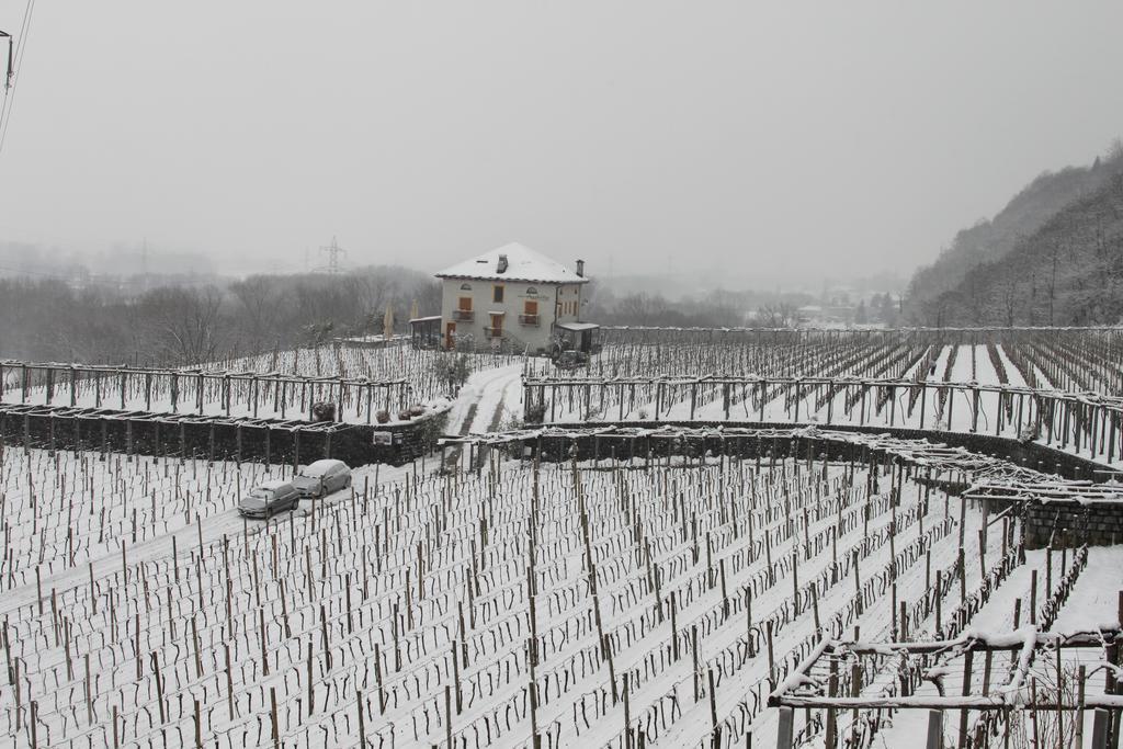 Fattoria L'Amorosa Sementina Bagian luar foto