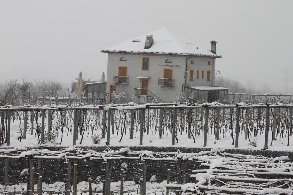 Fattoria L'Amorosa Sementina Bagian luar foto