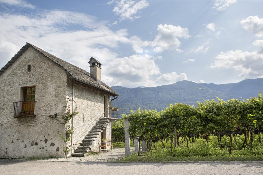 Fattoria L'Amorosa Sementina Bagian luar foto