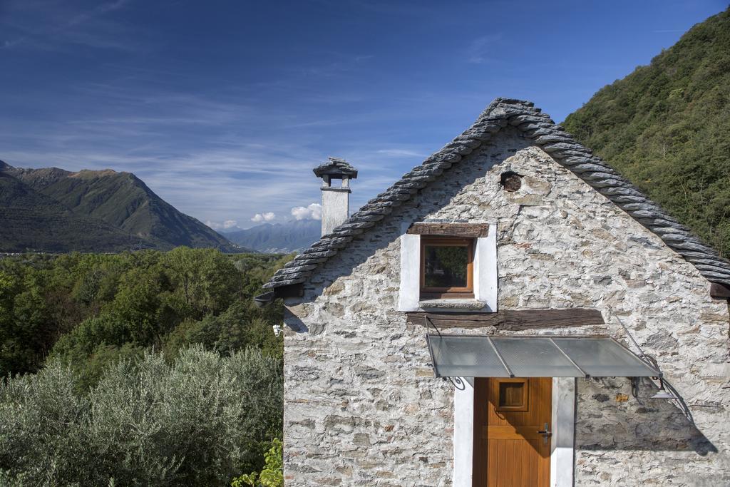 Fattoria L'Amorosa Sementina Ruang foto