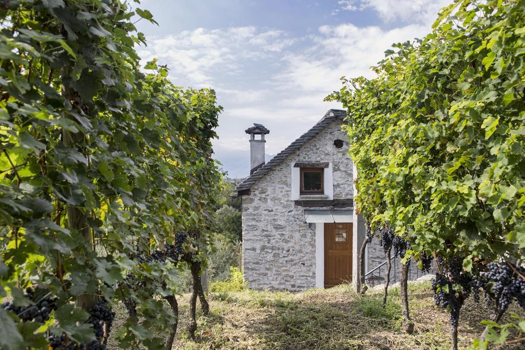 Fattoria L'Amorosa Sementina Bagian luar foto