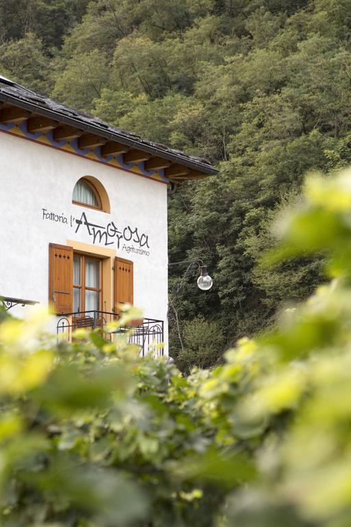 Fattoria L'Amorosa Sementina Ruang foto