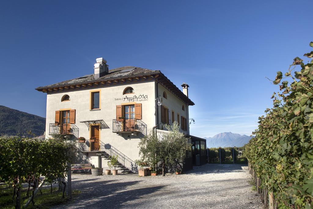 Fattoria L'Amorosa Sementina Bagian luar foto