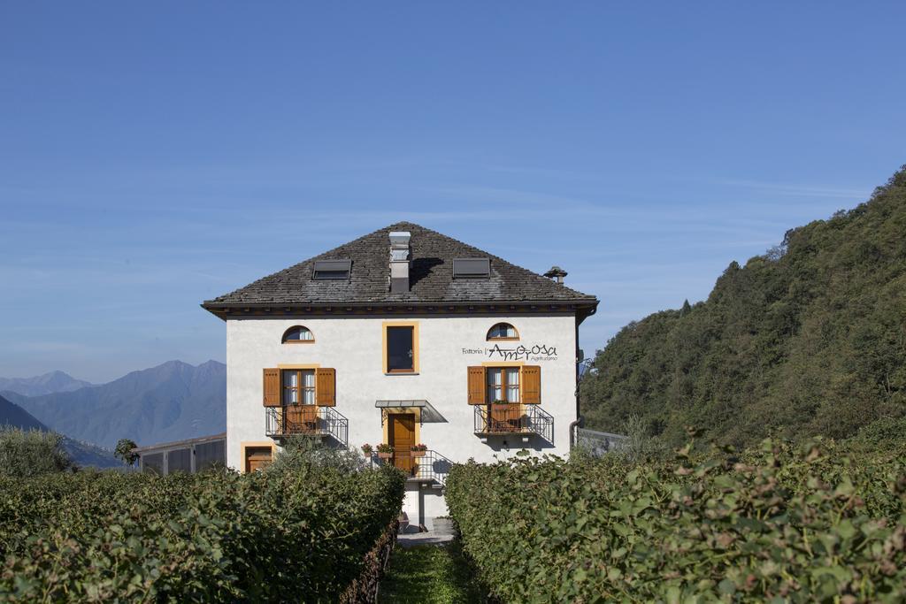 Fattoria L'Amorosa Sementina Bagian luar foto