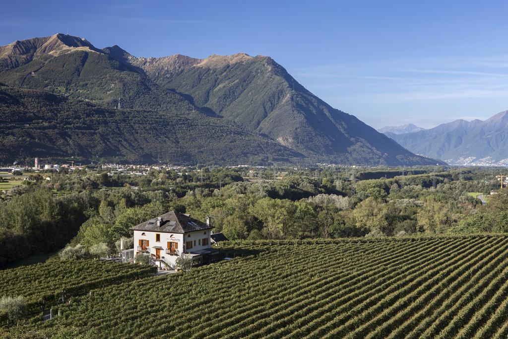 Fattoria L'Amorosa Sementina Bagian luar foto