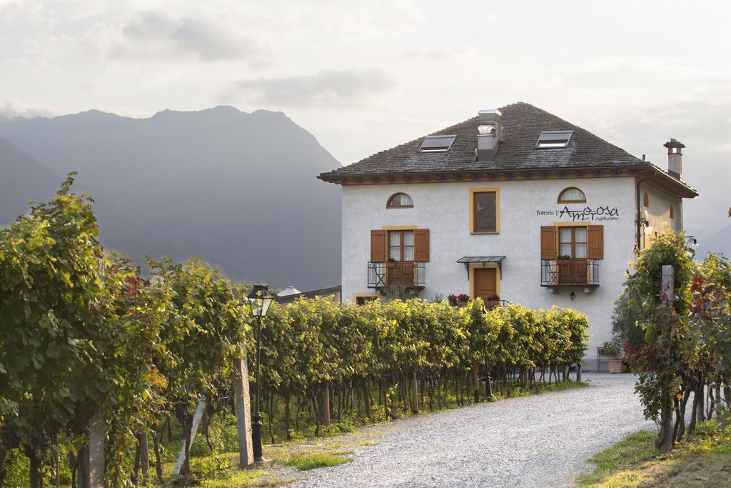 Fattoria L'Amorosa Sementina Bagian luar foto