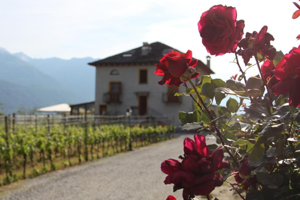 Fattoria L'Amorosa Sementina Bagian luar foto