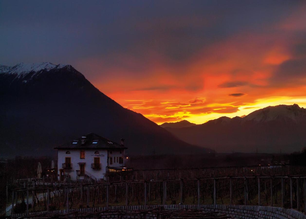 Fattoria L'Amorosa Sementina Bagian luar foto